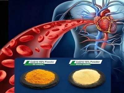 コエンザイムQ10の選び方は？