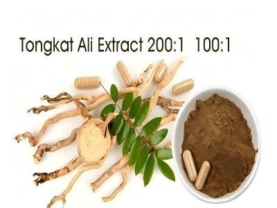 トンカットアリはどのようにしてテストステロンを高め、健康を改善できるのでしょうか？